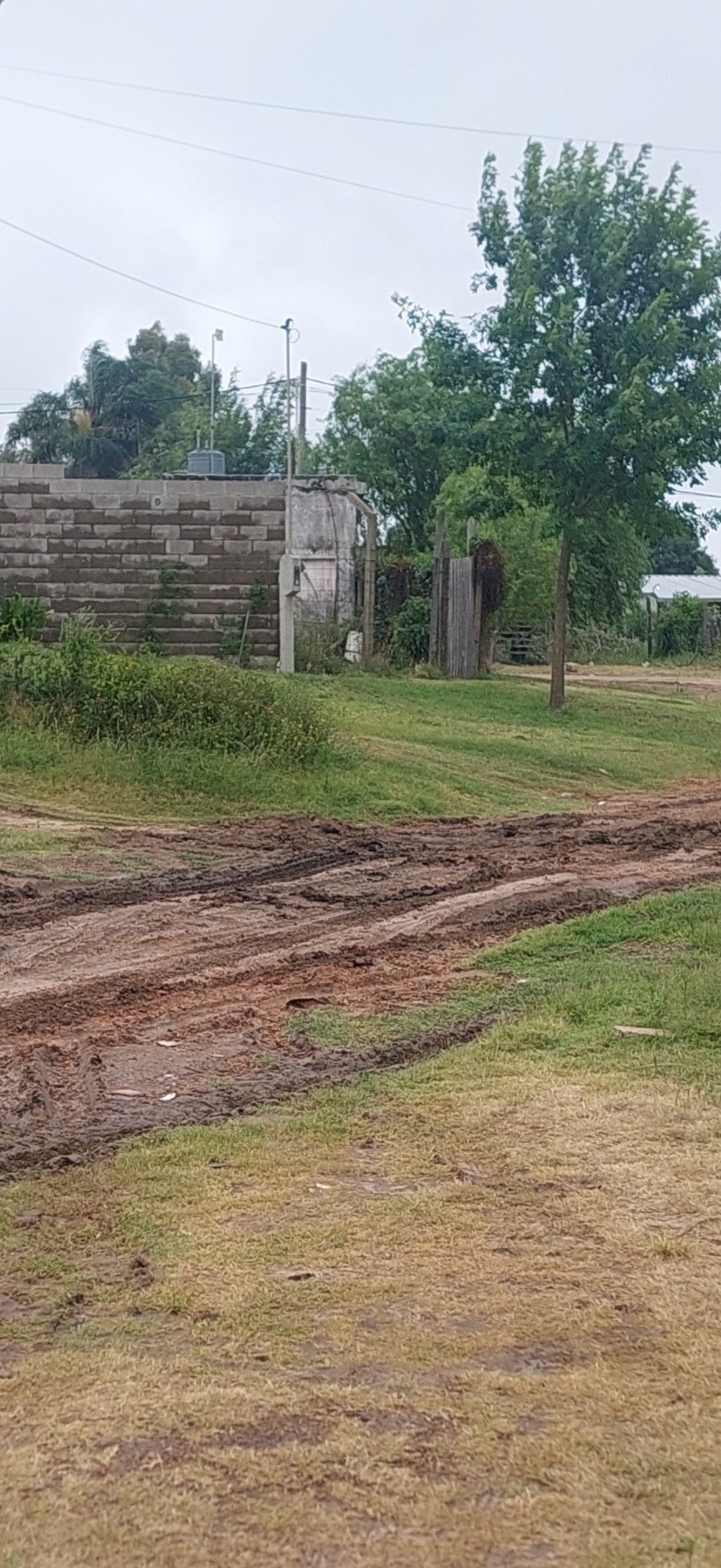 Vecinos de Concepción del Uruguay imploran atención del municipio por el abandono de una calle - 7PAGINAS