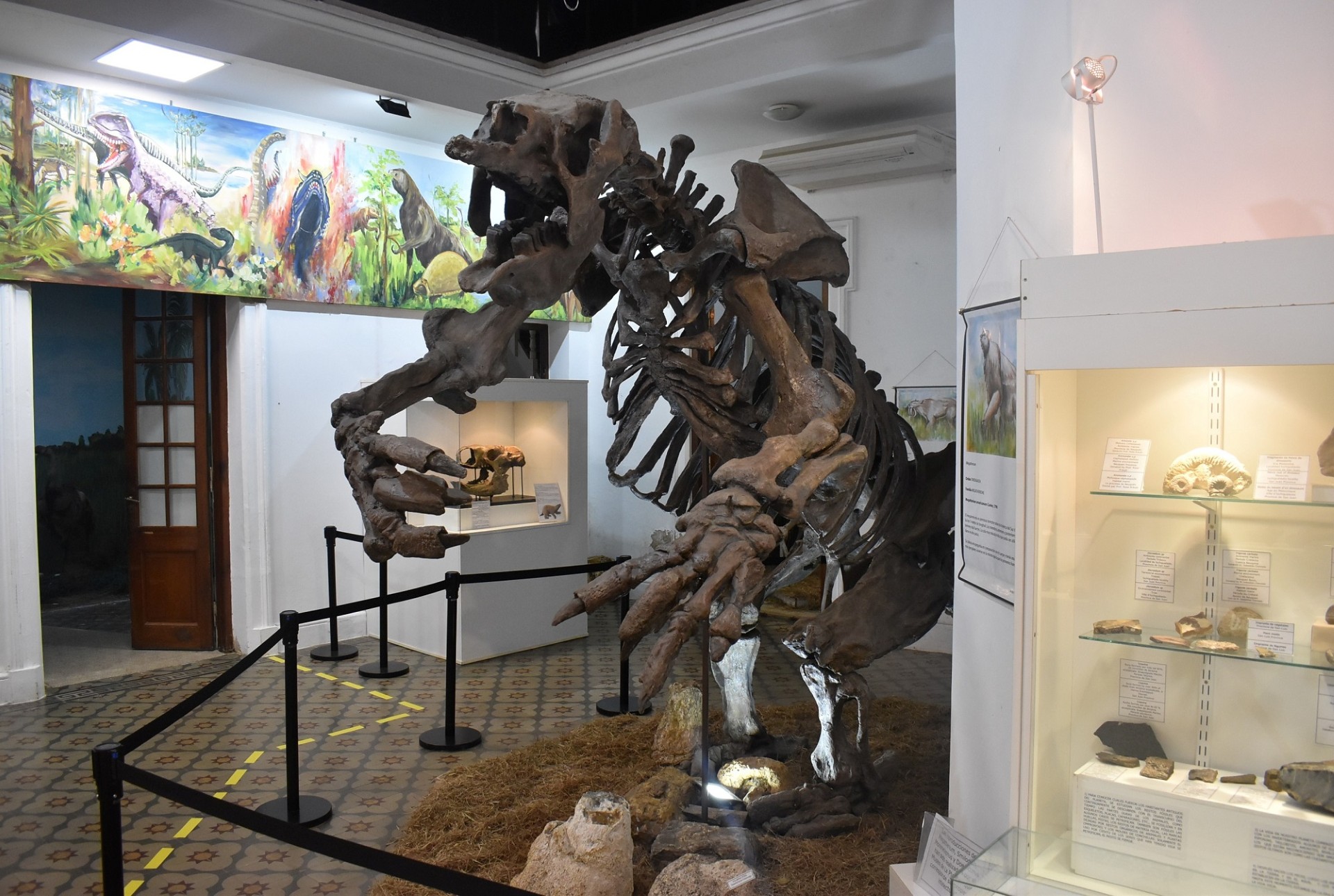 El museo de ciencias naturales cumplió 30 años custodiando la historia de Concordia - 7PAGINAS