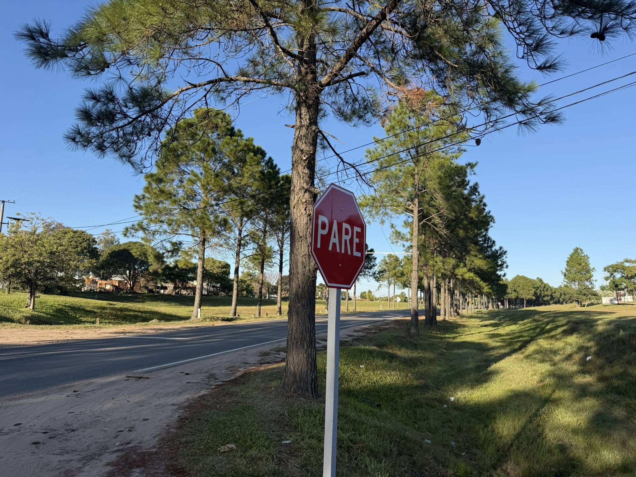 Seguridad vial en Federación: el bloque del PJ impulsa un proyecto de resolución por obras urgentes en la Ruta 44 - 7PAGINAS