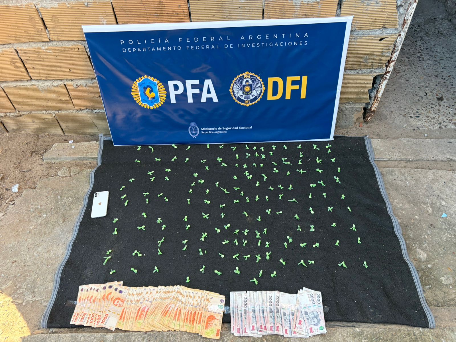La Policía Federal detuvo a dos sujetos y secuestró una importante cantidad de cocaína en un peligroso barrio de Concordia - 7PAGINAS