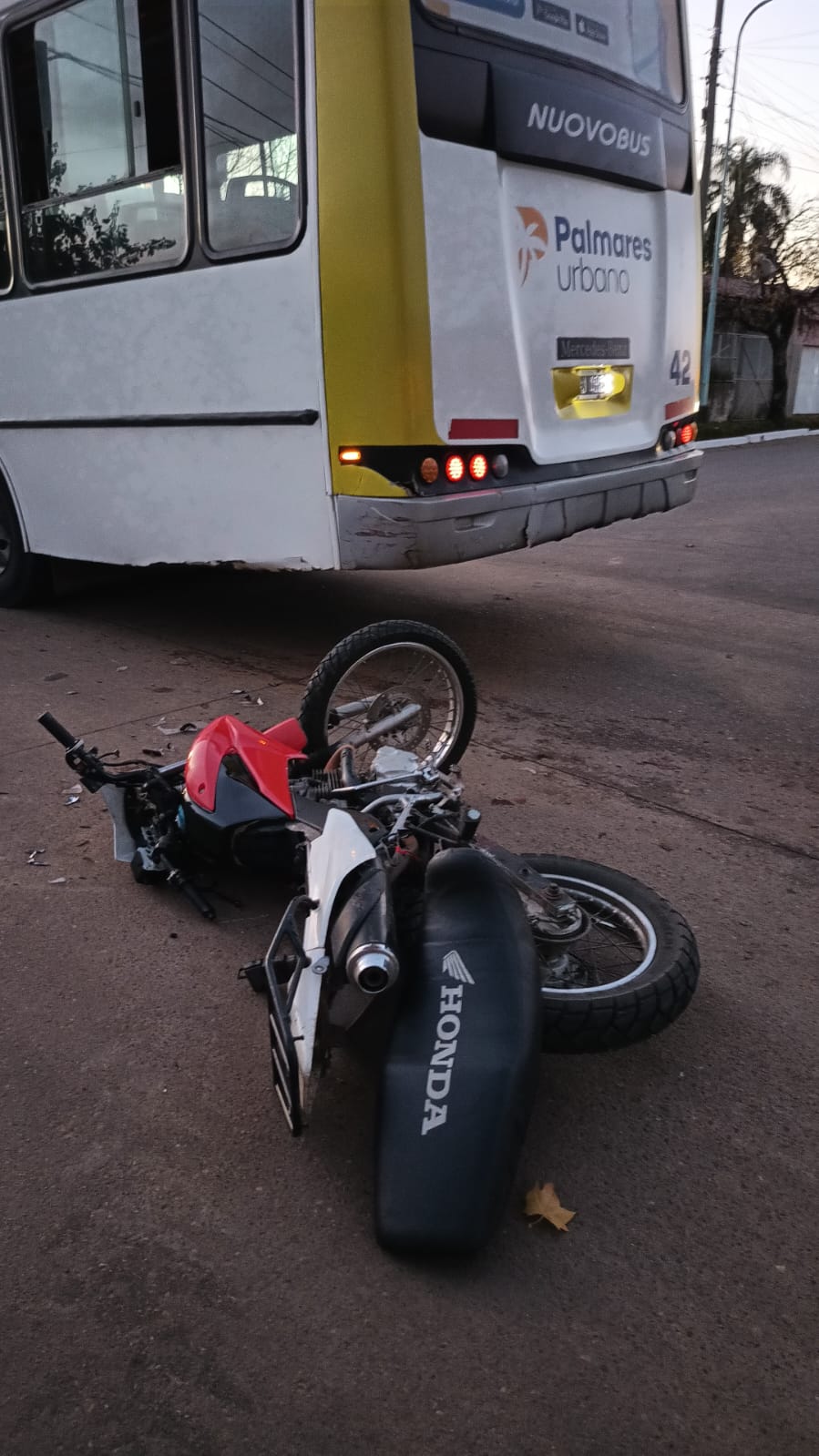 Siniestro vial en Concordia: dos mujeres en moto resultaron heridas tras colisionar contra un micro de una línea urbana - 7PAGINAS