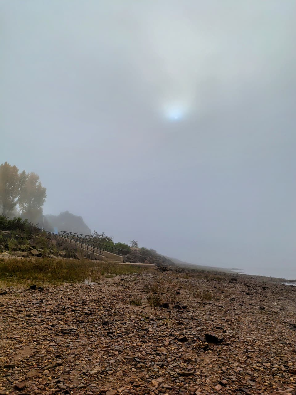 ¿Hasta cuándo sigue la neblina en Entre Ríos?: el pronóstico para las próximas horas y el estado de las rutas - 7PAGINAS
