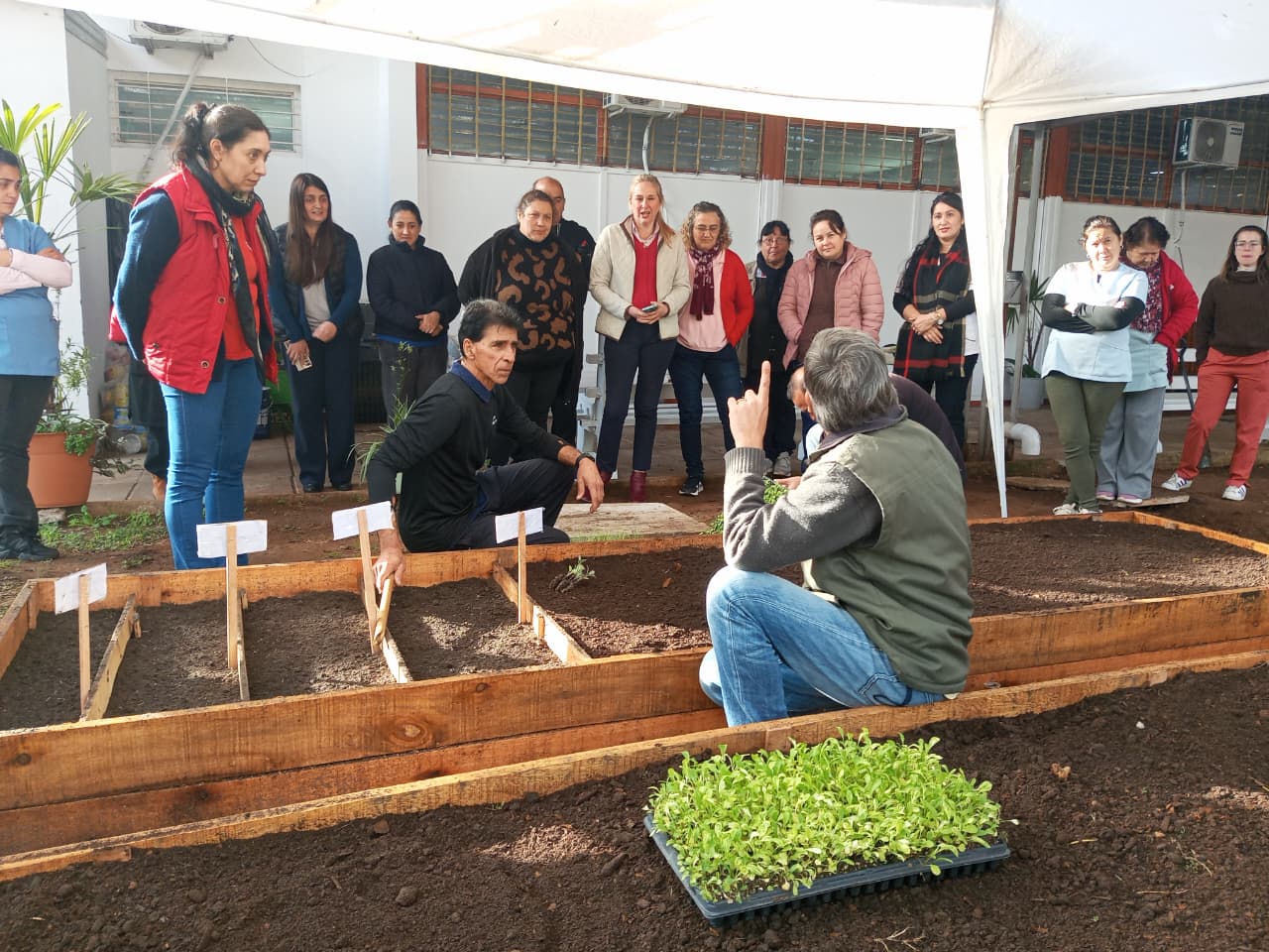 Más familias de Concordia acceden al programa de huertas agroecológicas integradas - 7PAGINAS
